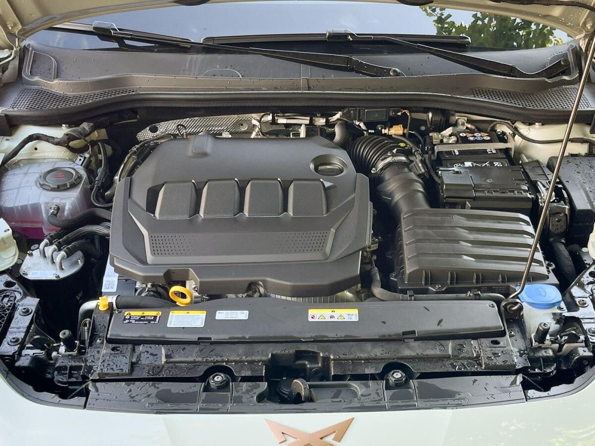 Cupra Leon Sportstourer 2.0 TDI DSG AHK Matrix