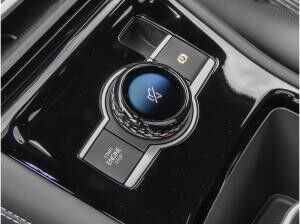 Volkswagen Tiguan 2.0 TSI 4Motion R-Line DSG AHK Pano