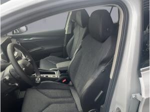 Skoda Elroq 85 PLUS WÄRMEPUMPE AHK NAVI LED DAB RFK