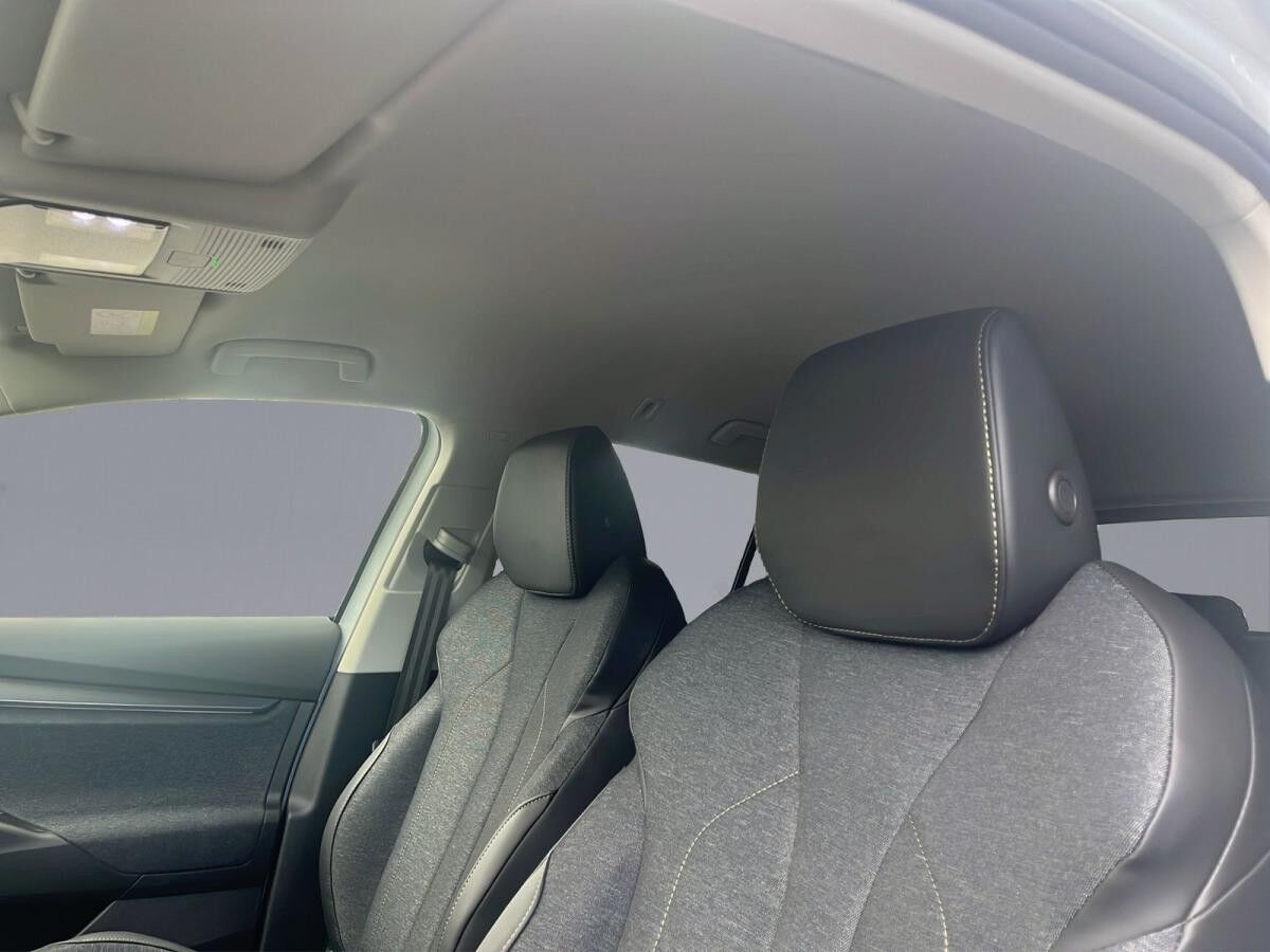 Skoda Elroq 85 PLUS WÄRMEPUMPE AHK NAVI LED DAB RFK