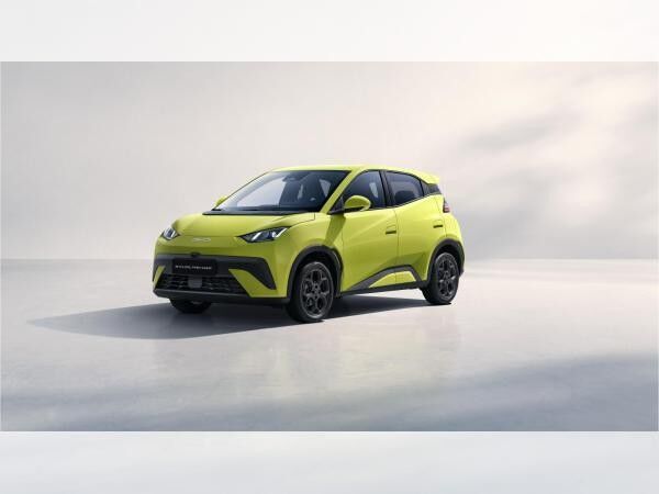 BYD DOLPHIN SURF Comfort - Gewerbe