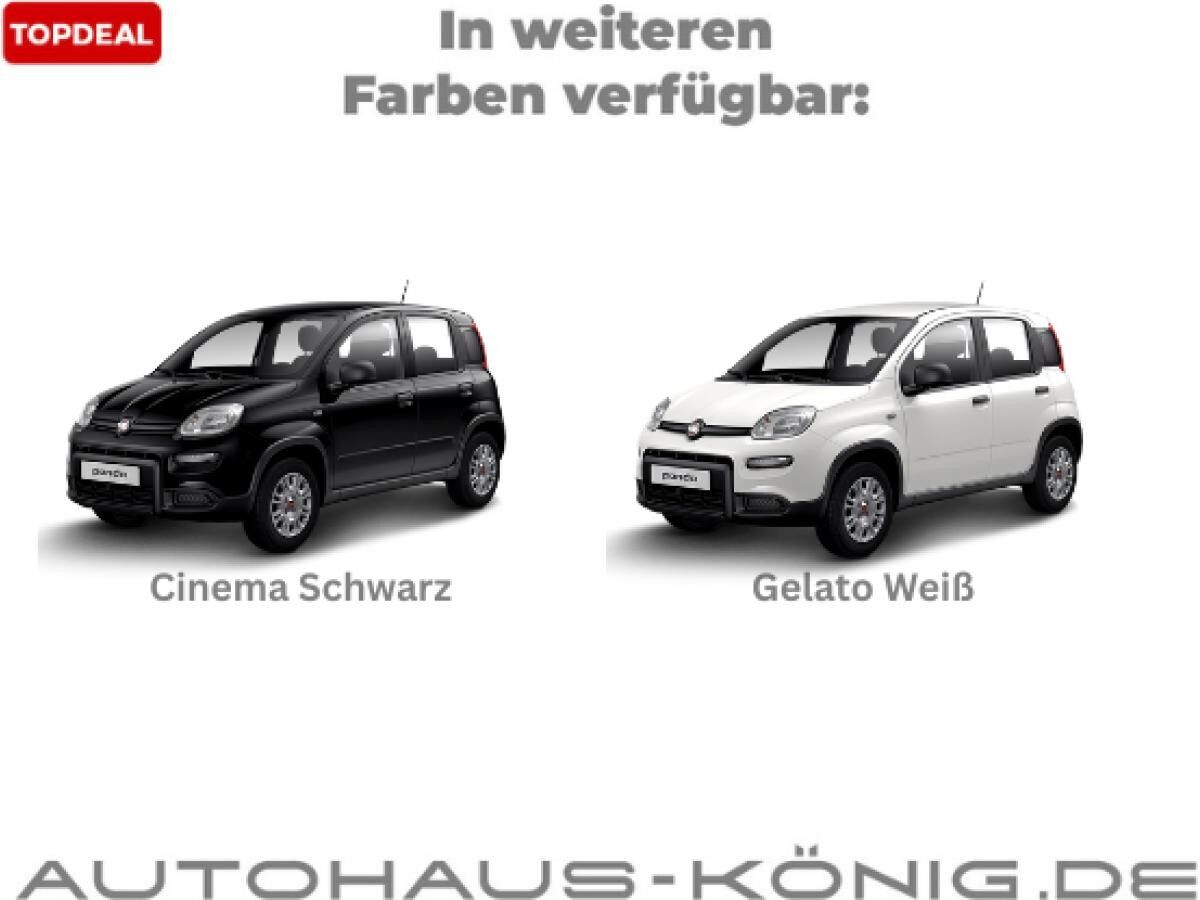 Fiat Panda Herbst-Special | Mit Einparkhilfe | Sofort verfügbar❗️