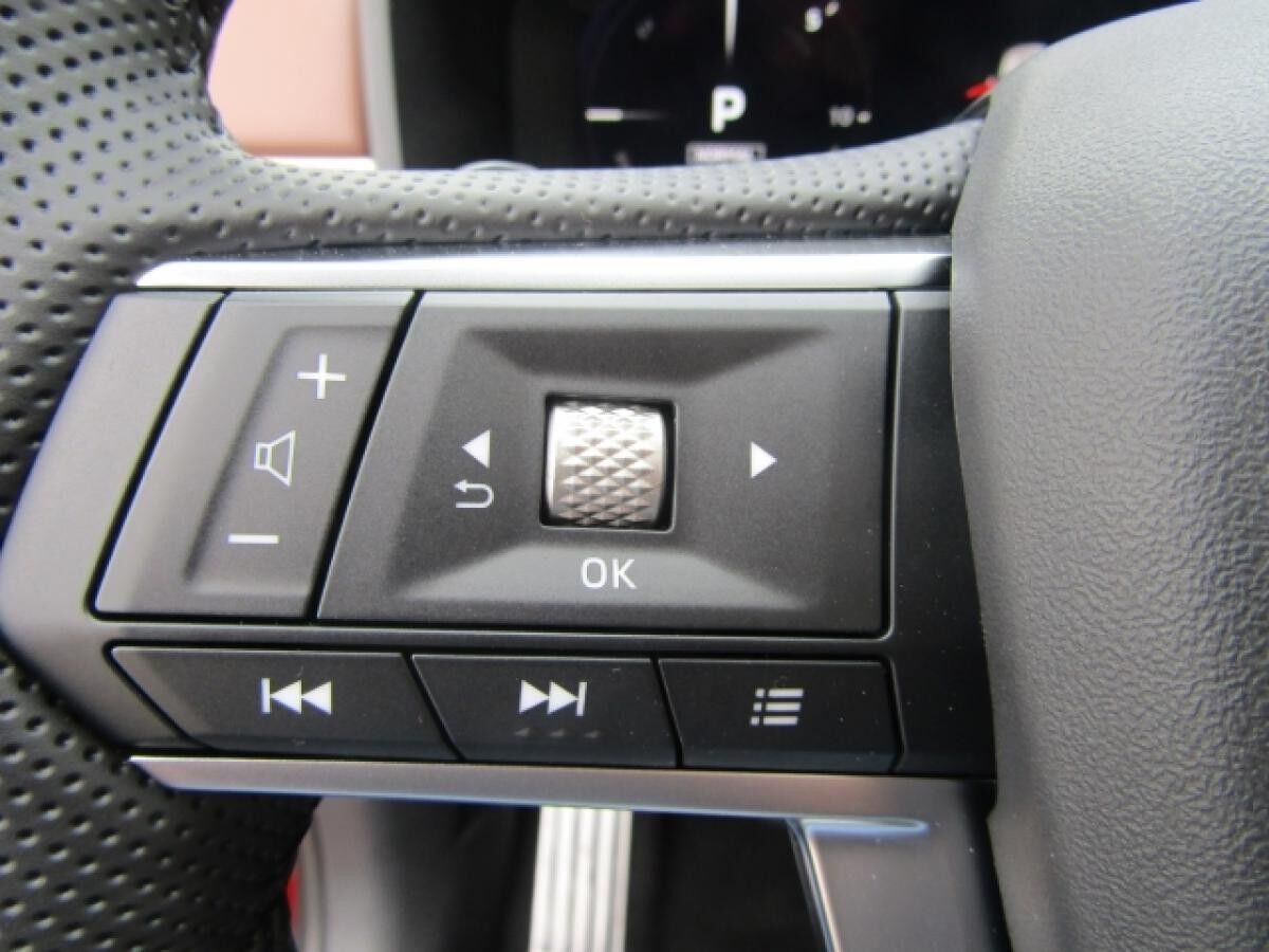 Mitsubishi Outlander Plug-in Hybrid 2.4 TOP Luxury-Paket ACC NAVI LED PANORAMA SHZ