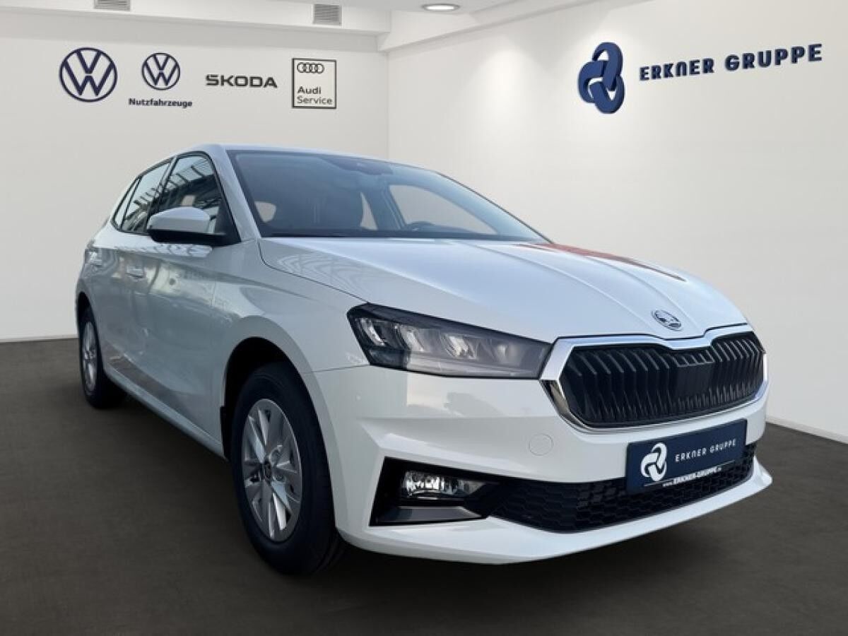Skoda Fabia 1.0 TSI DSG Selection +SHZ+PDC+GRA+LED+KLIMA+