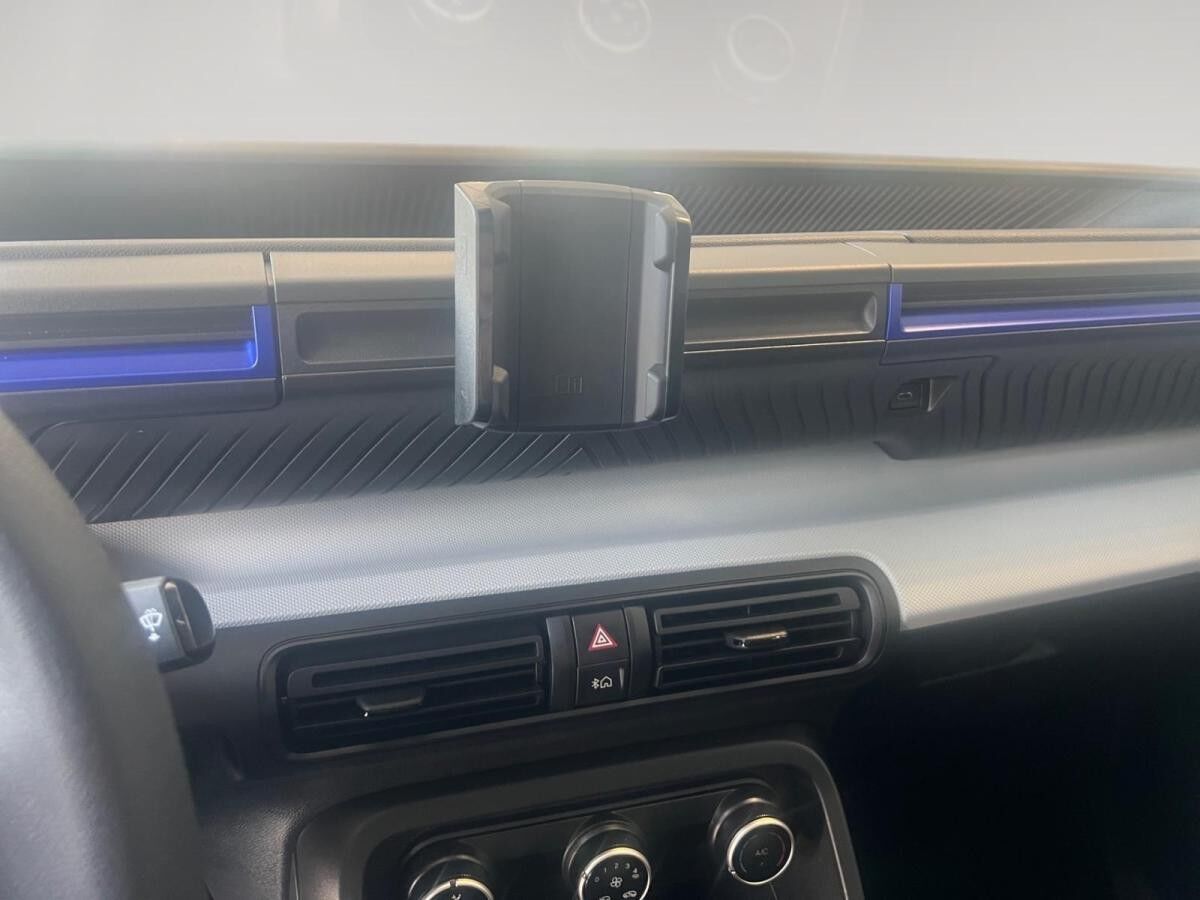 Citroën C3 Elektromotor 113 Standard-Range You