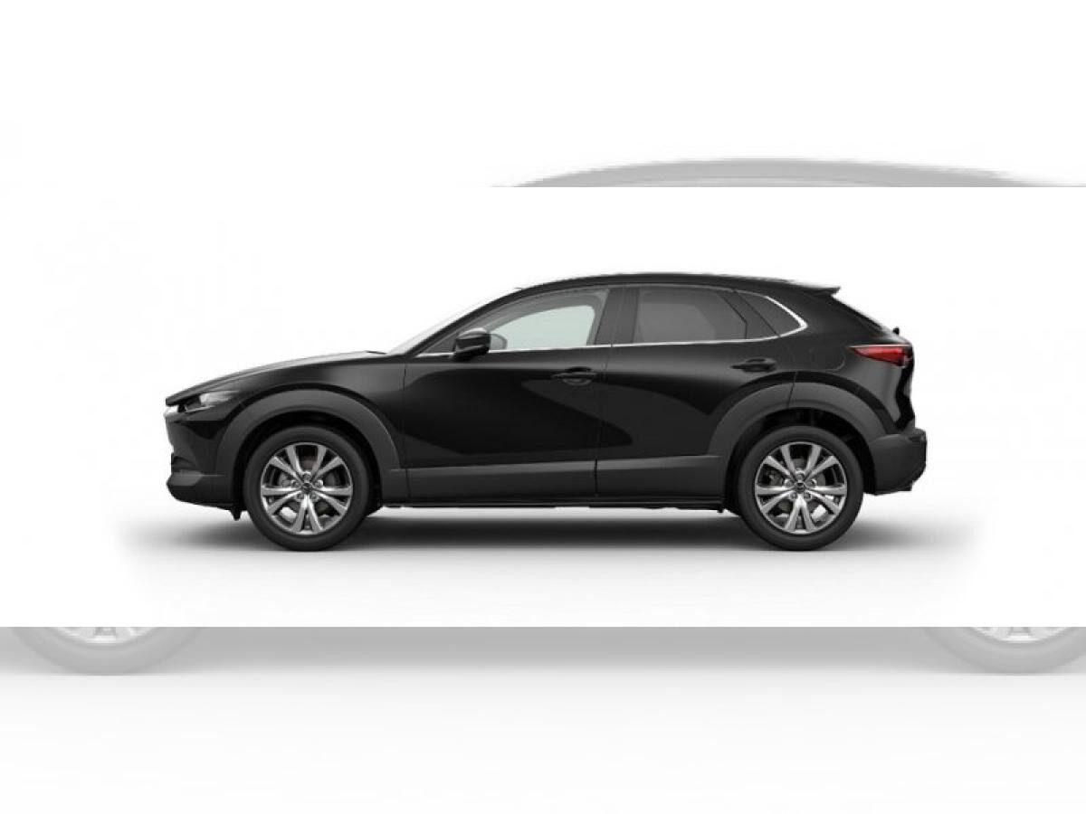 Mazda CX-30 2.0 X A/T AWD TAKUMI SUNR BLOP
