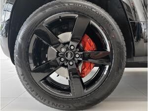 Land Rover Defender 110 D300 X 22" AHK BlackP.