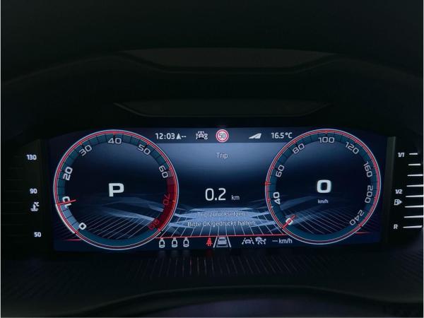 Skoda Kamiq 1.0 TSI DSG Monte Carlo Matrix Pano ACC