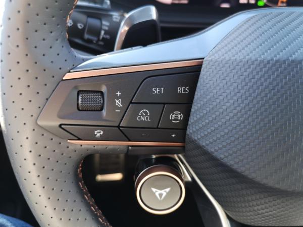 Cupra Terramar 2.0 TSI 195 kW 4Drive VZ AHK SHZ KAMERA PDC