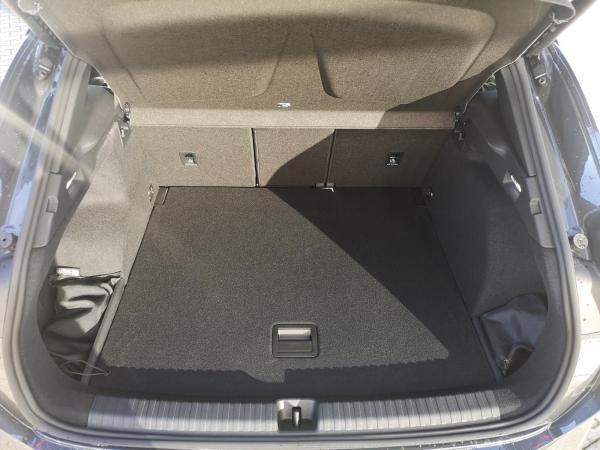 Cupra Terramar 2.0 TSI 195 kW 4Drive VZ SENNH. AHK SHZ MATRIX-LED