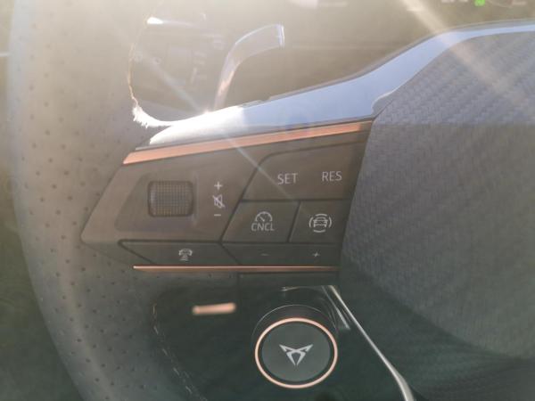 Cupra Terramar 2.0 TSI 195 kW 4Drive VZ SENNH. AHK SHZ MATRIX-LED