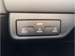 Cupra Terramar 2.0 TSI 195 kW 4Drive VZ SENNH. AHK SHZ MATRIX-LED