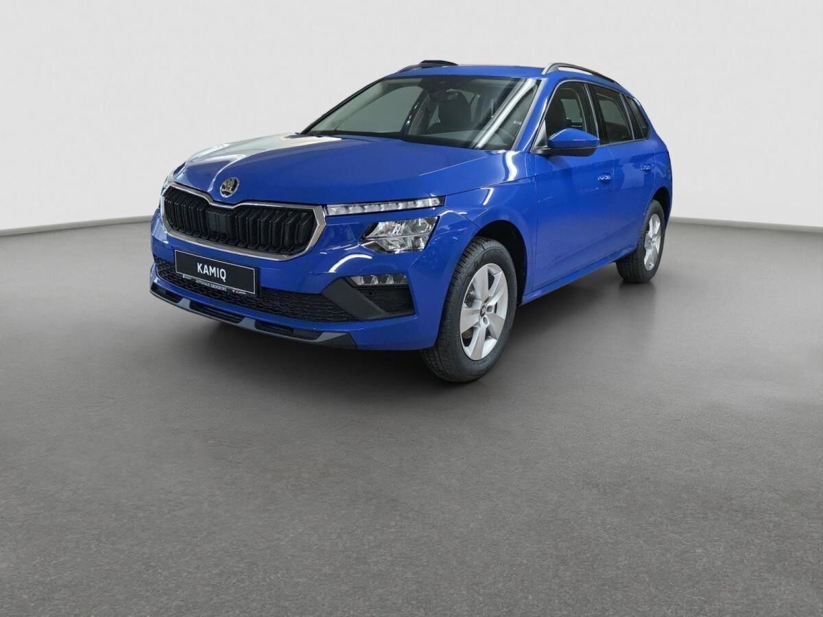 Skoda Kamiq 1.0 TSI Essence LED LM PDC SHZ Winter