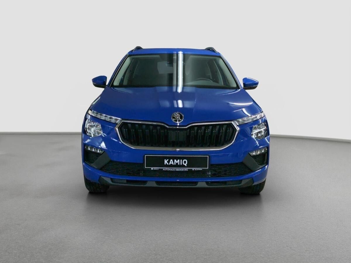 Skoda Kamiq 1.0 TSI Essence LED LM PDC SHZ Winter