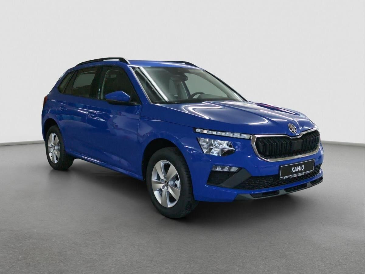 Skoda Kamiq 1.0 TSI Essence LED LM PDC SHZ Winter