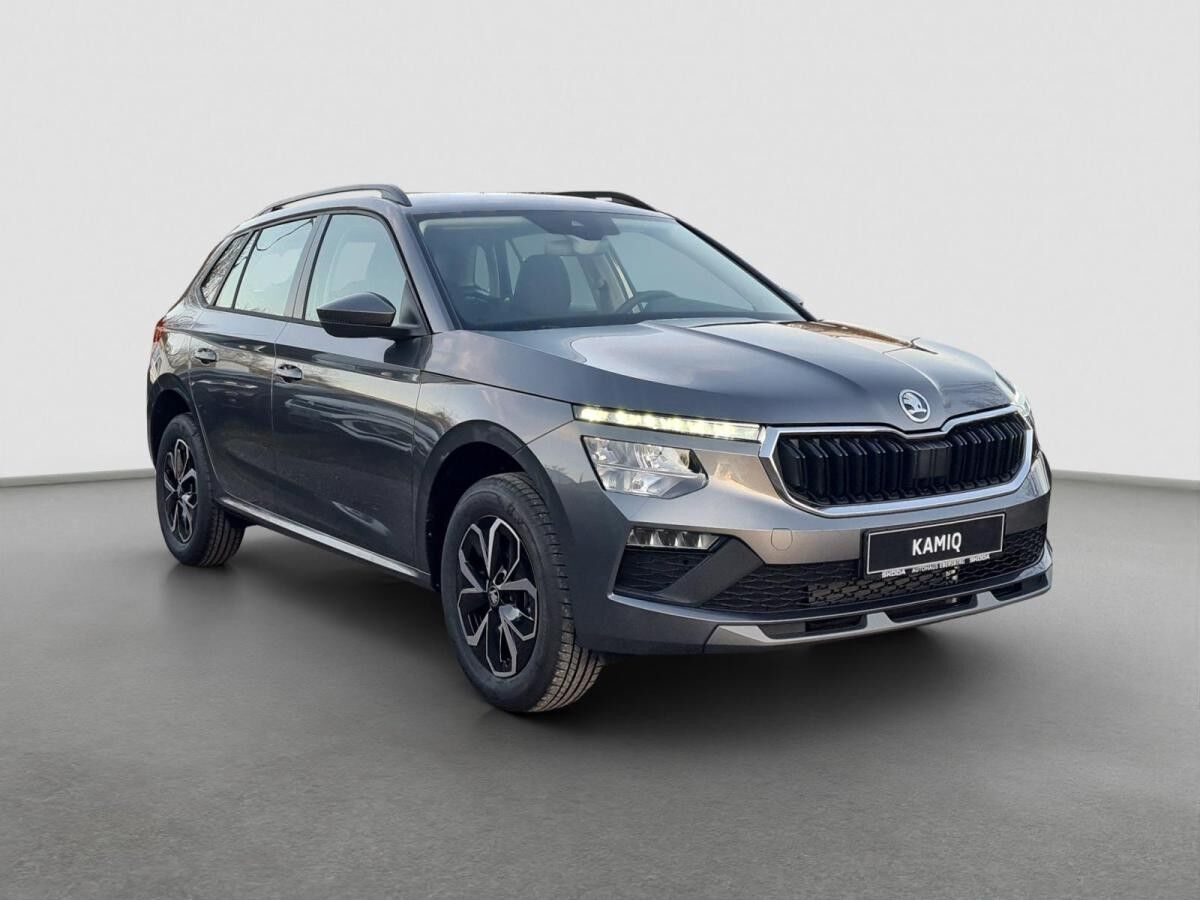 Skoda Kamiq 1.0 TSI DSG Selection LED AHK Winter