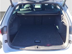 Skoda Octavia Combi RS 2.0 TSI AHK Pano StHzg