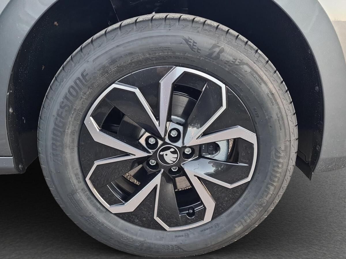 Skoda Kamiq 1.0 TSI DSG Selection LED AHK Winter