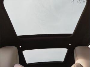 Audi RS6 RS 6 Avant performance RS 6 Avant performance tiptronic