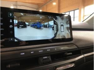 Kia EV3 Earth 81.4 kWh Winter-/Upgrade-/DriveWise-Paket