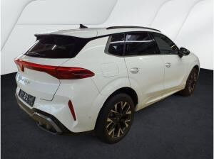 Cupra Terramar Edge eHYBRID Matrix/ACC/HuD/360°/2.30Garantie