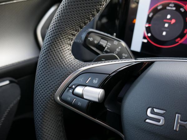 Skoda Kodiaq 2.0 TDI Sportline 4X4 LED MEMORY 7-SITZER *823*