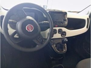 Fiat Panda (319)