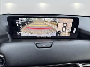 Mazda CX-60 D 254PS AWD Homura COSO *Lager-Aktion* *Sofort*