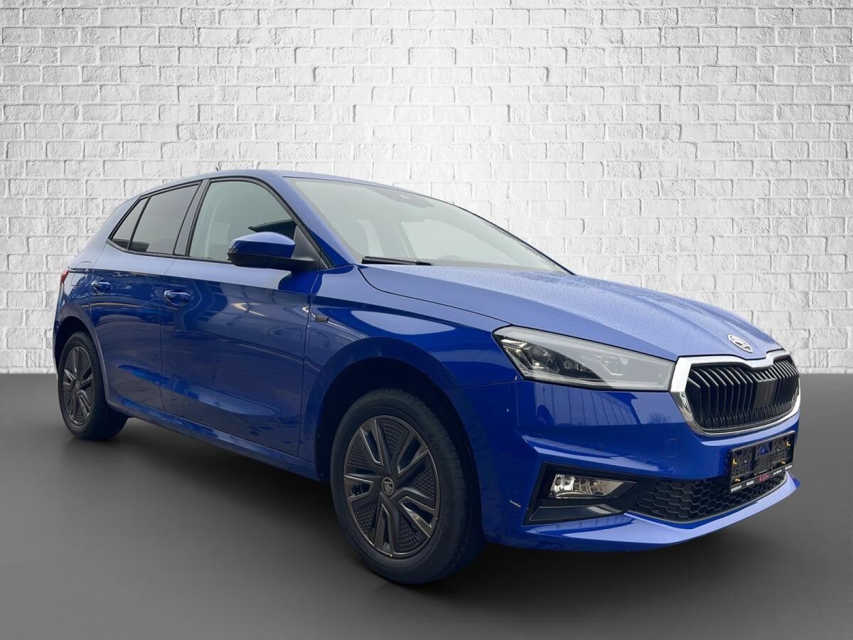 Skoda Fabia 1.0 MPI Schaltgetriebe - Tour 💥Sofort Verfügbar 💥