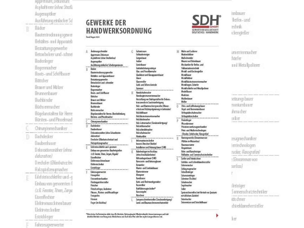 Renault Austral Techno Full Hybrid E-Tech 200❗️HANDWERKER-AKTION❗️