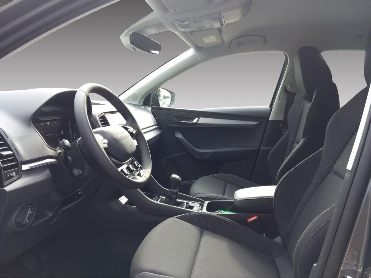 Skoda Karoq Tour 1.5 TSI 6-Gang *AHK*MATRIX*KLIMA*