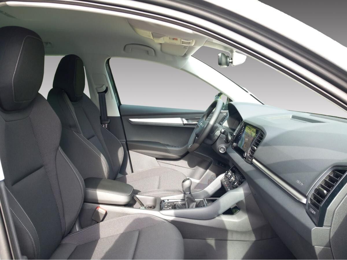 Skoda Karoq Tour 1.5 TSI 6-Gang *AHK*MATRIX*KLIMA*