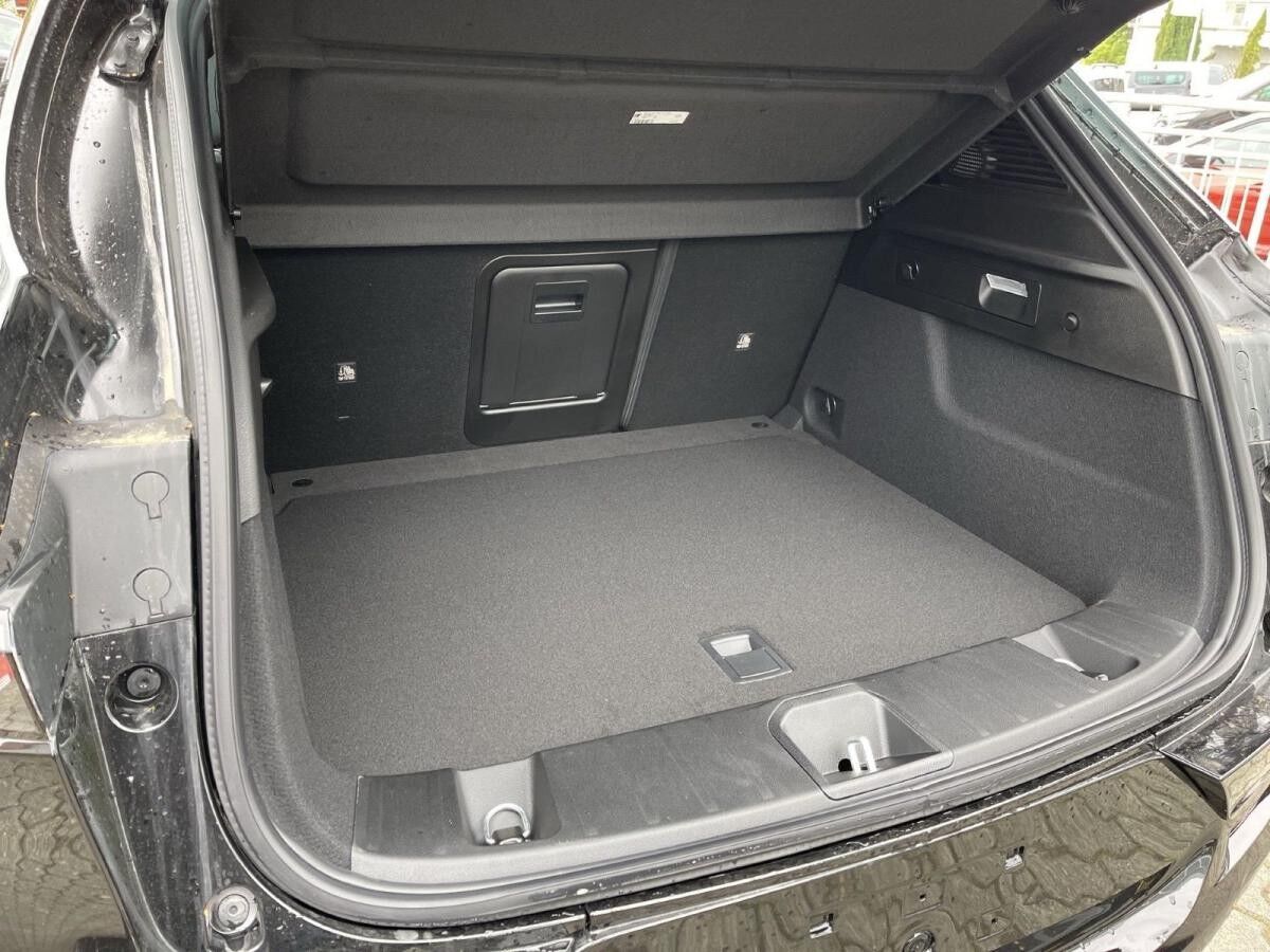 Alfa Romeo Tonale 1.5 MHEV INTENSA +Schiebedach