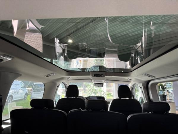 Volkswagen Caravelle PanAmericana Motor: 2,0 l TDI G