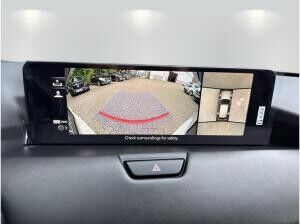 Mazda CX-60 2.5 e-SKYACTIV PHEV Homura Plus AWD *0,5% Versteuerung*