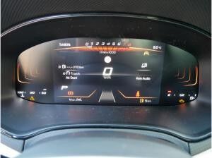 Seat Ibiza Road Edition 1.0 TSI 116 PS DSG