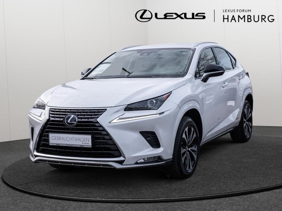 Lexus NX 300 h Style Edition Navi, Lenkradhzg, TWW