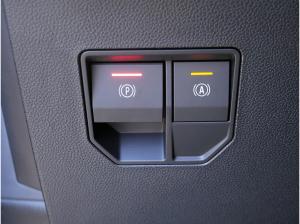 Renault Scenic E-Tech Iconic 220 Long Range 4 RATEN GESCHENKT!!**