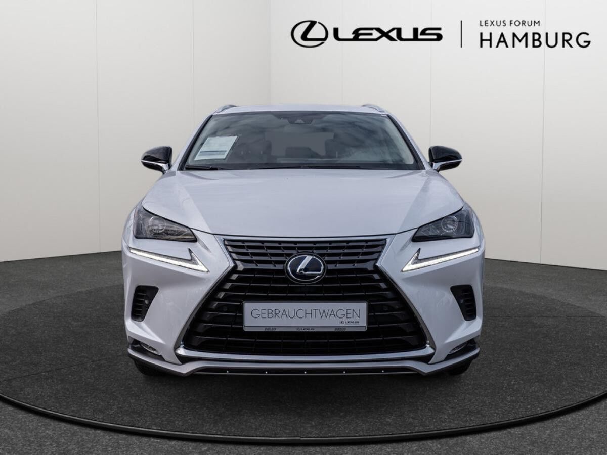 Lexus NX 300 h Style Edition Navi, Lenkradhzg, TWW