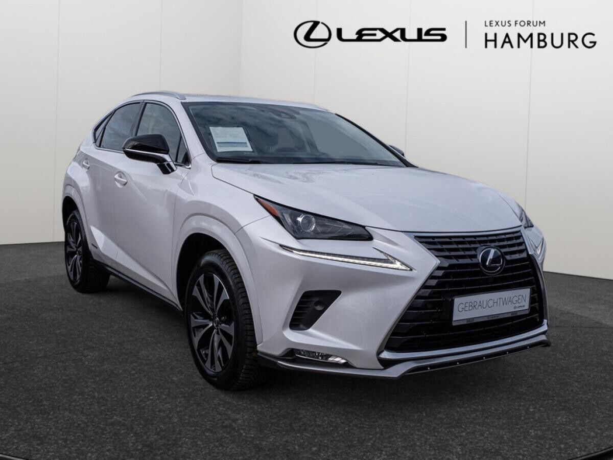 Lexus NX 300 h Style Edition Navi, Lenkradhzg, TWW