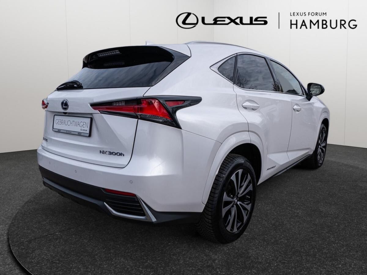 Lexus NX 300 h Style Edition Navi, Lenkradhzg, TWW