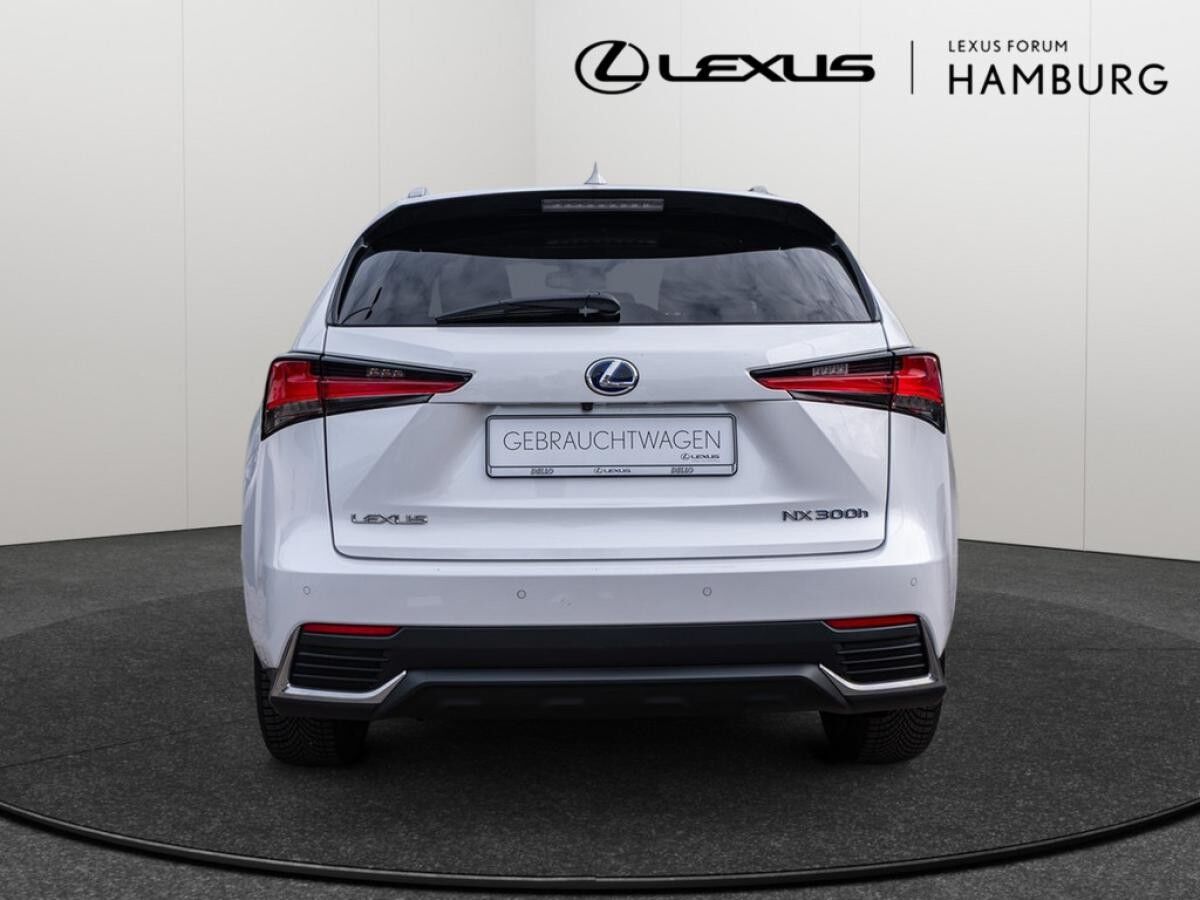 Lexus NX 300 h Style Edition Navi, Lenkradhzg, TWW