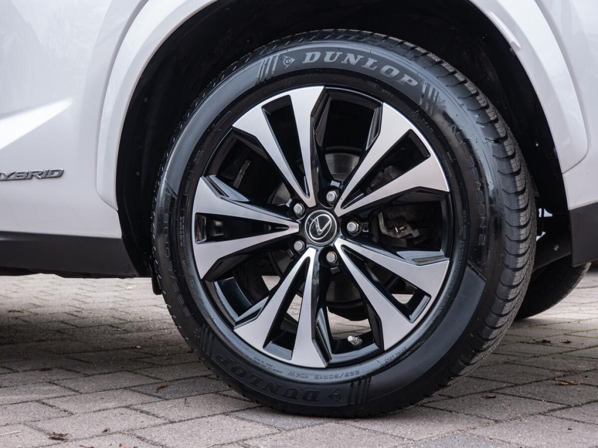 Lexus NX 300 h Style Edition Navi, Lenkradhzg, TWW