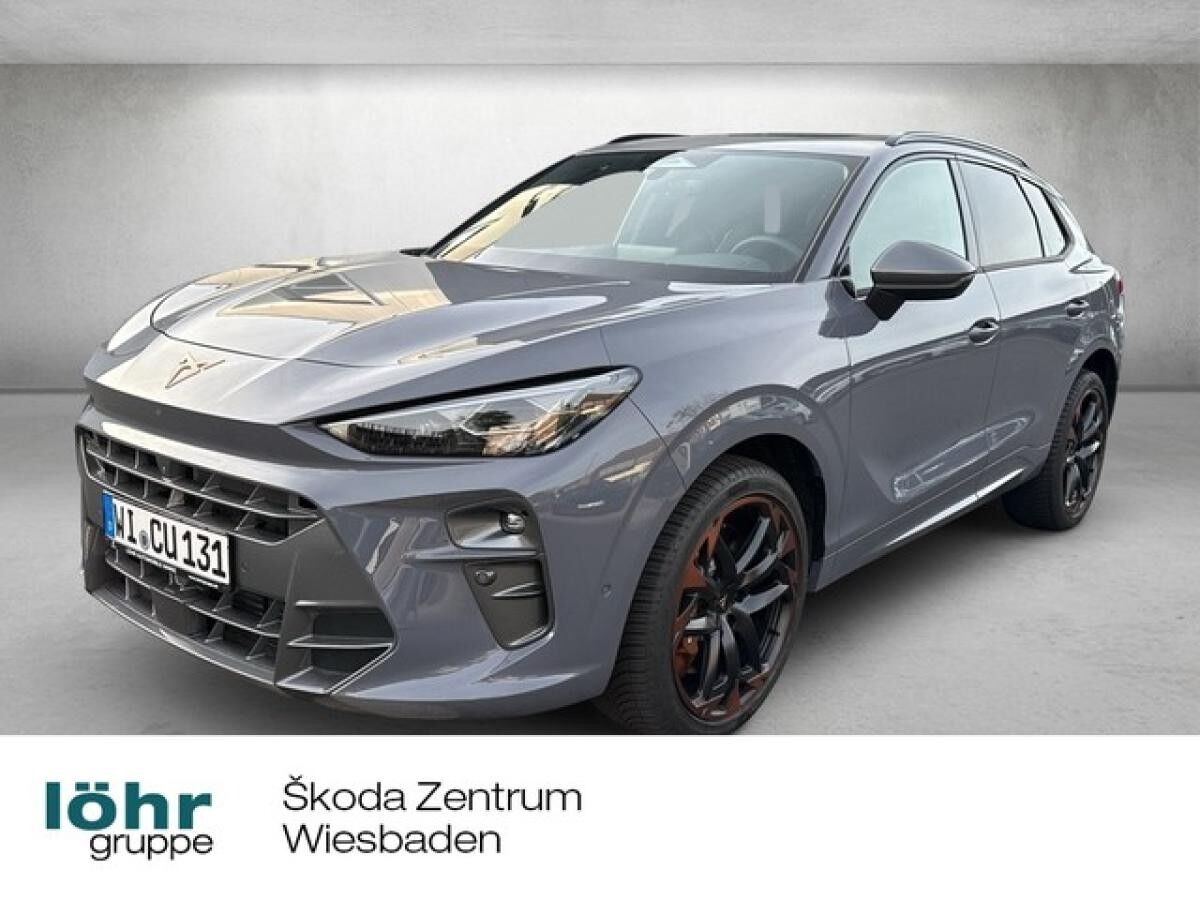 Cupra Terramar VZ 2.0 TSI 4Drive ABGABE 04.2026