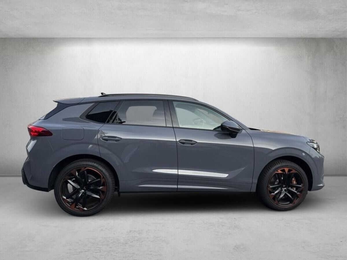 Cupra Terramar VZ 2.0 TSI 4Drive ABGABE 04.2026