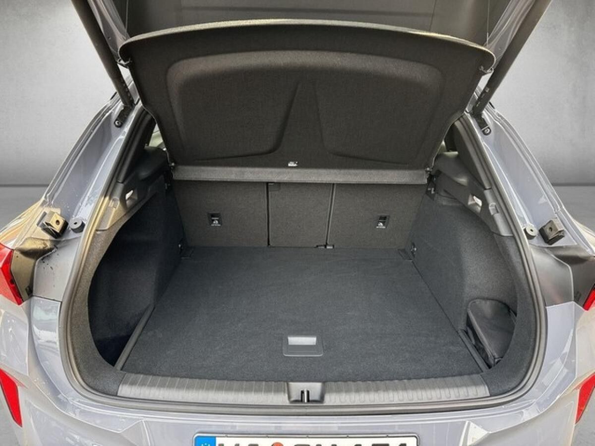 Cupra Terramar VZ 2.0 TSI 4Drive ABGABE 04.2026