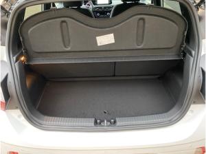 Hyundai i10 1.0 T-GDI (90 PS) 5-MT 2WD N Line, Dachlackierung