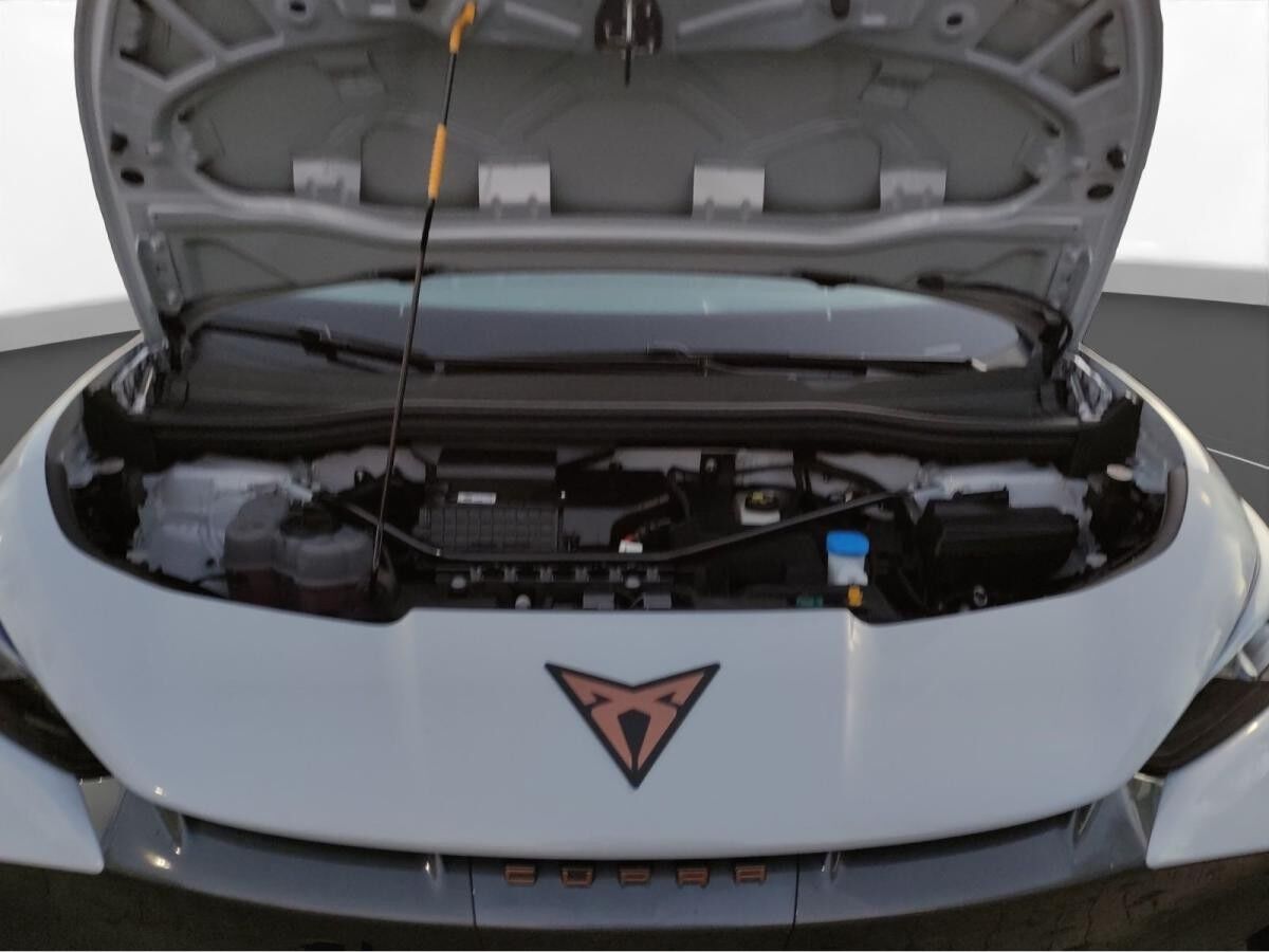 Cupra Tavascan Endurance