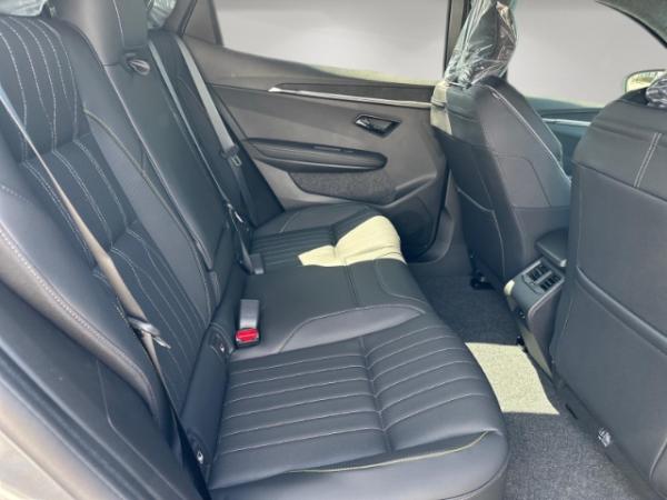 Renault Scenic Iconic 220 Long Range *360Grad Kamera*Klimaautomatik*uvm.