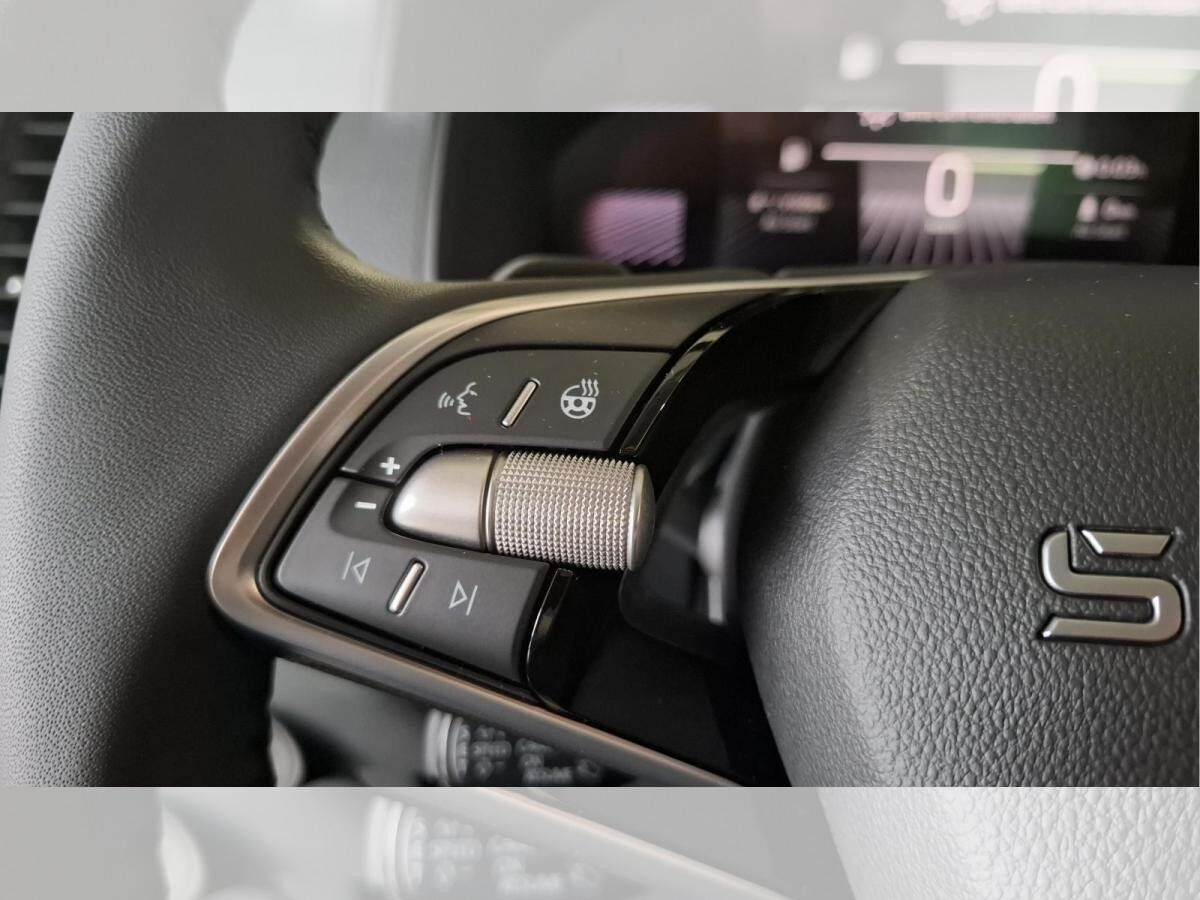 Skoda Karoq Tour ACC Matrix RKam AHK SHZ EPH